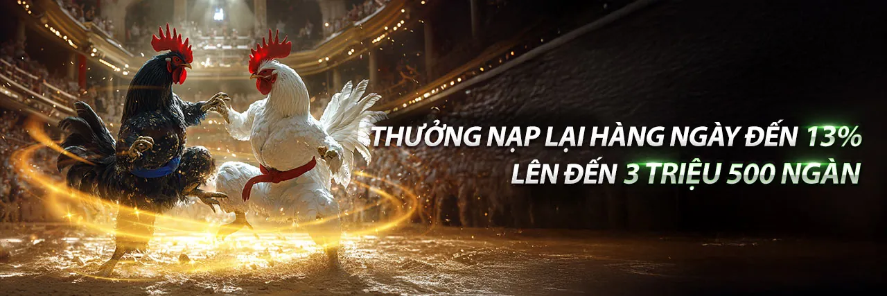 Tổng quan đá gà trực tuyến EV999 NHÀ CÁI